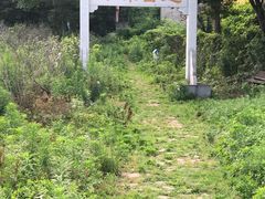 -龙寺生态园