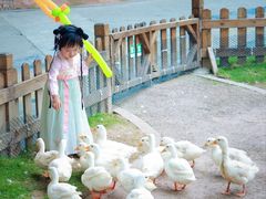 -成都欢乐谷
