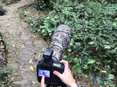 -滴水岩森林公园