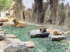 -北京野生动物园