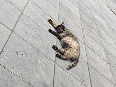 -万寿八仙宫