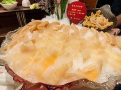 加拿大象拔蚌-協成海鮮火鍋(老店)