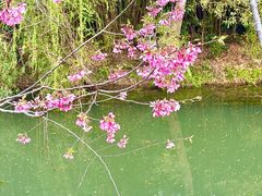 -梁鸿国家湿地公园