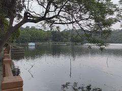 -白云湖畔酒店-湖畔餐厅