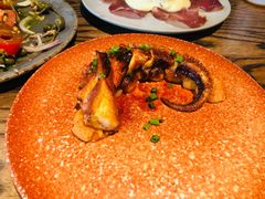 香烤八爪鱼腿-Apollo·西班牙小酒馆(安福路店)
