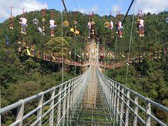 -九龙江国家森林公园