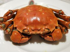 -浦华大酒店-台南担仔面海鲜楼