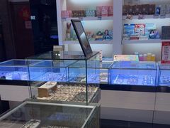 -宝明斋眼镜(朝山街店)