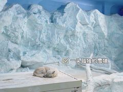 -珠海长隆海洋王国