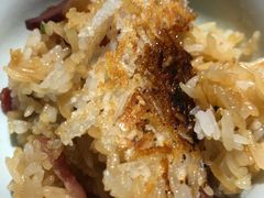 -探窝·竹笙椰子鸡(杨箕店)