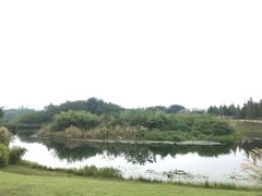 -眉山湿地公园(东坡区)