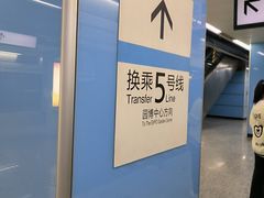 -大龙山(地铁站)