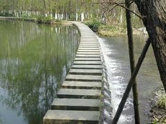 -桤木河湿地公园