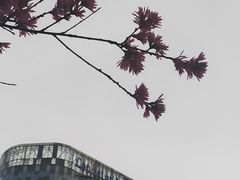-簋街