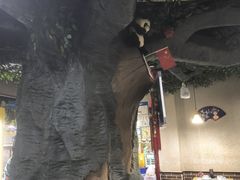 -金三可市井水煮鱼(金碧园店)