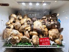 -太婆天府山珍酒楼(亚运村店)