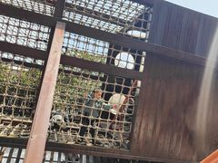 -中国福利会少年宫