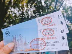 -东湖落雁景区