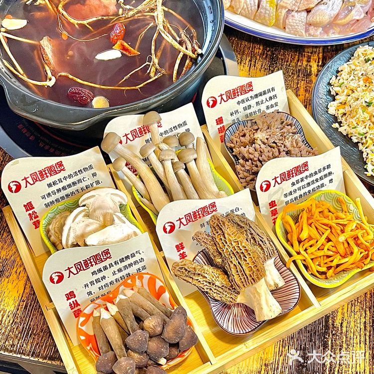 广州!这家鸡煲现宰现做,汤底甘甜到舔碗🥘