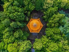 -函谷关历史文化旅游区