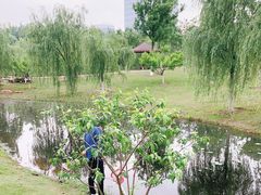 -滨湖塘西河公园