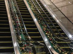 -杭州城中香格里拉大酒店