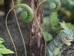 -国家植物园南园