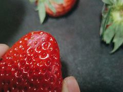 -果多美(三里河店)