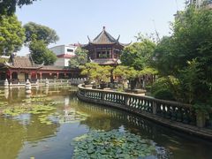 -碧江金楼