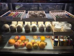 -油梨树 AVOCADO TREE(亮马桥店)