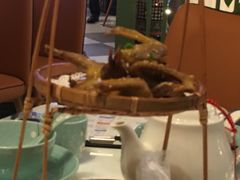 -清晖小苑•顺德地方菜(壹海城店)