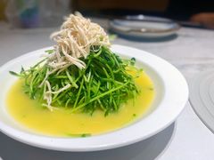 鸡汤豆苗-望蓉城·古法酸菜鱼(世纪汇店)