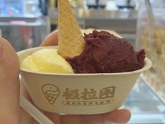 -极拉图·现制冰淇淋(大卫城店)