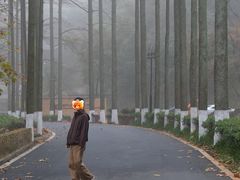 -莫干山风景区