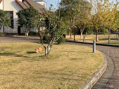 -太阳岛度假酒店