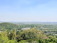 -上海佘山国家森林公园西佘山园