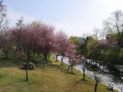 -石塘人家