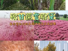 -汉长安城未央宫国家考古遗址公园