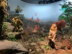 -陕西自然博物馆