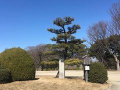 -名古屋城