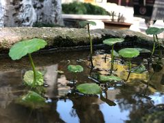 -宝岩生态观光园