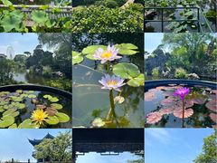 -无锡蠡湖国家湿地公园-蠡园