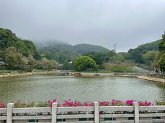 -广州市帽峰山景区