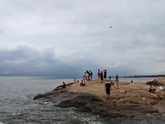 -老虎石海上公园