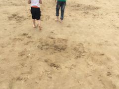 -碧海金沙