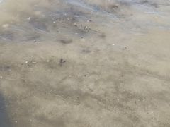 -嵊泗基湖沙滩