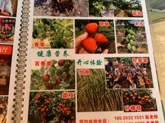 菜单-荔枝红五号农庄
