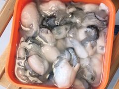 -文昌小老弟糟粕醋