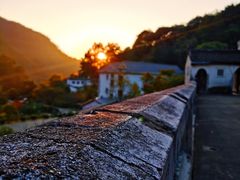 -雁南飞茶田景区