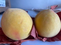 -南汇新场正宗水蜜桃采摘